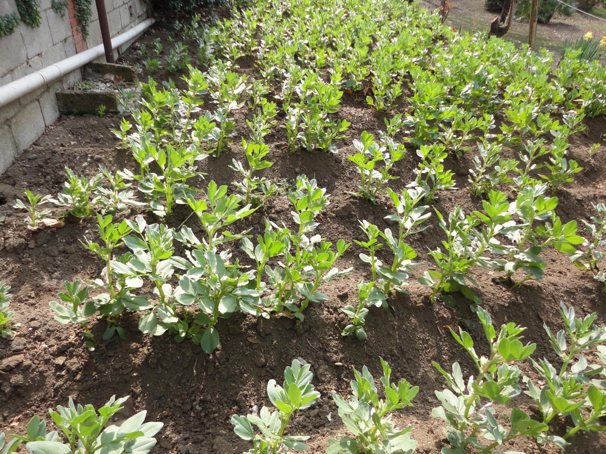 Tenuta Montelaura Forino Dış mekan fotoğraf
