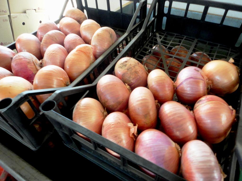 Tenuta Montelaura Forino Dış mekan fotoğraf