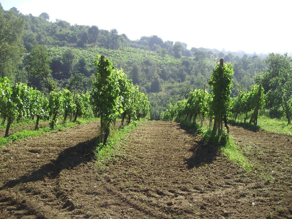 Tenuta Montelaura Forino Dış mekan fotoğraf