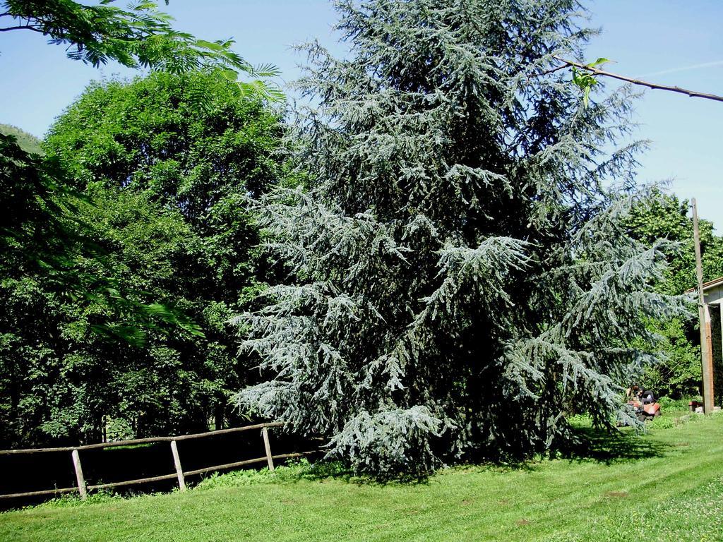 Tenuta Montelaura Forino Dış mekan fotoğraf