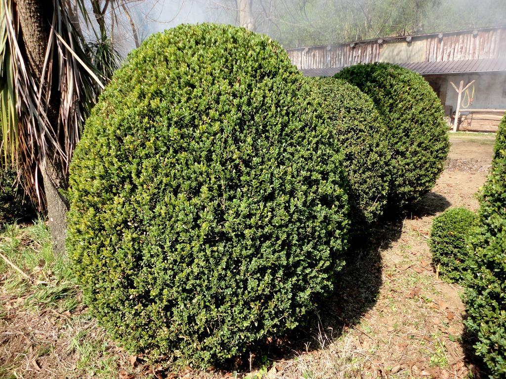 Tenuta Montelaura Forino Dış mekan fotoğraf