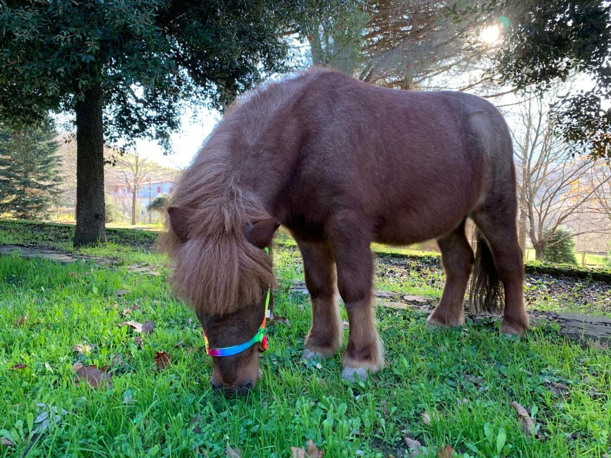 Tenuta Montelaura Forino Dış mekan fotoğraf